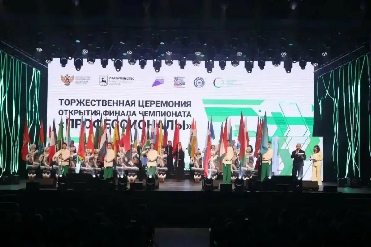 финал чемпионата Профессионалы