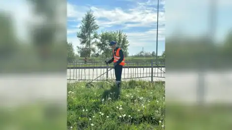 косьба трава газон уборка