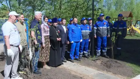 люди сажают дерево