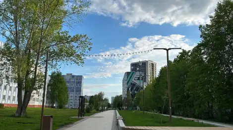весна май променад деревья тепло город
