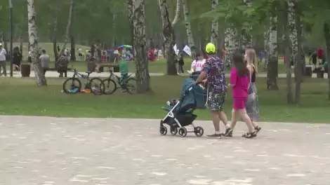 семья с коляской гуляет в парке