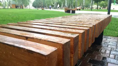 мокрая скамейка в парке семья после дождя