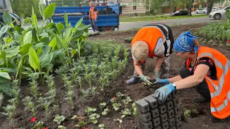 женщины высаживают цветы