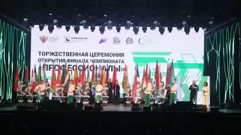 финал чемпионата Профессионалы