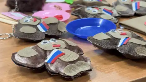 Чебурашки для бойцов СВО сшитые в Нижнекамске