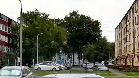 упавшее дерево на Корабельной в Нижнекамске