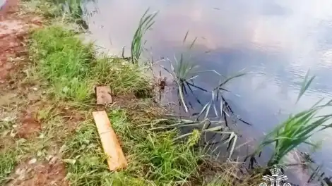 пруд в селе Четыре Двора