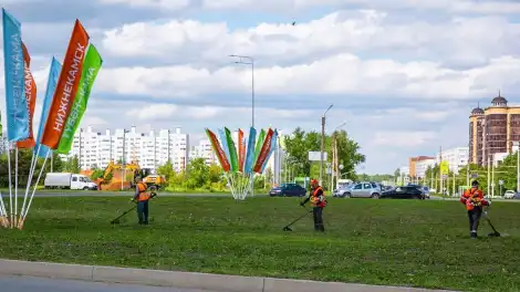 косят траву в Нижнекамске