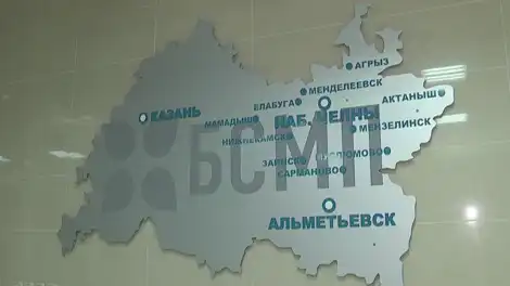 вывеска БСМП Челнов