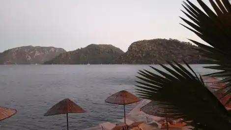 море, пальмы