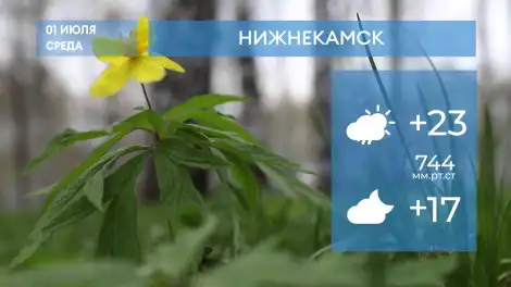 Прогноз погоды в Нижнекамске на 01-е июля 2026 года - программа телеканала НТР 24
