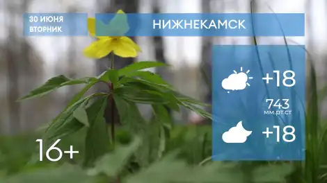 Прогноз погоды в Нижнекамске на 30-е июня 2026 года - программа телеканала НТР 24