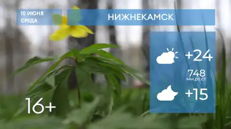 Прогноз погоды в Нижнекамске на 10-е июня 2026 года - программа телеканала НТР 24