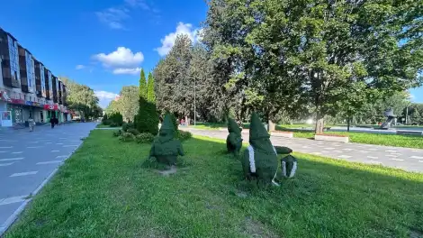 Школьный бульвар в Нижнекамске летом