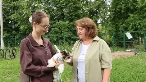 собаку проверяют на наличие чипа