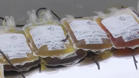 донорство плазма кровь донор банк крови