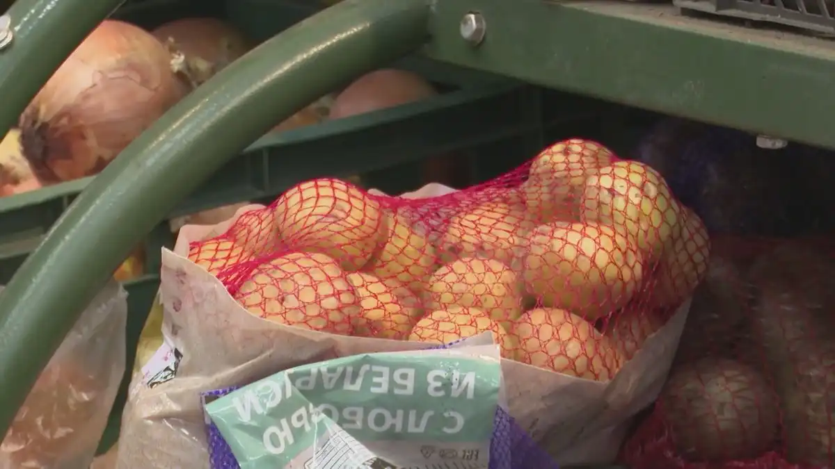 картофель в сетке в магазине
