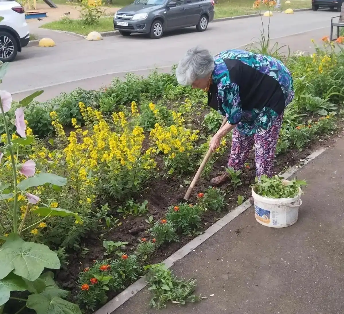 Женщина сажает цветы на придомовой клумбе
