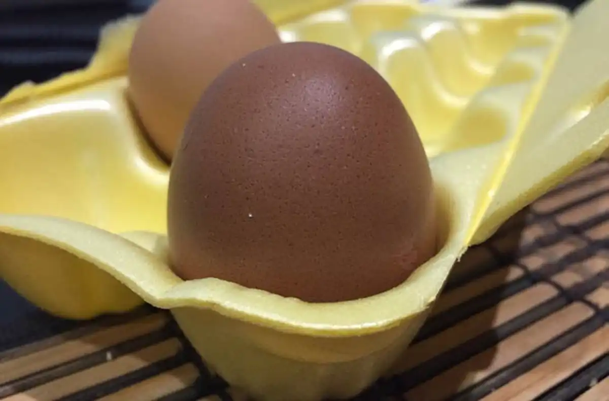Куриное яйцо в упаковке