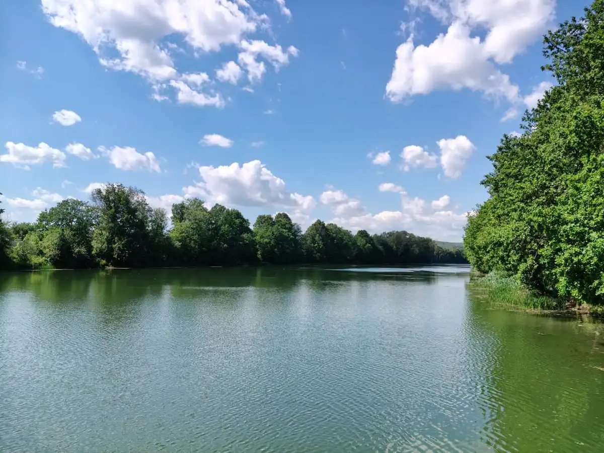 лето. жара, водоем