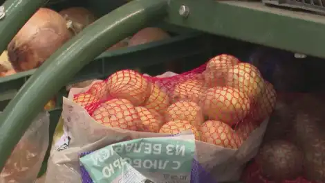 картофель в сетке в магазине