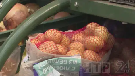 картошка в сетке