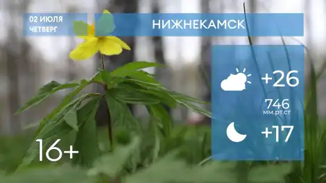 Прогноз погоды в Нижнекамске на 02-е июля 2026 года - программа телеканала НТР 24
