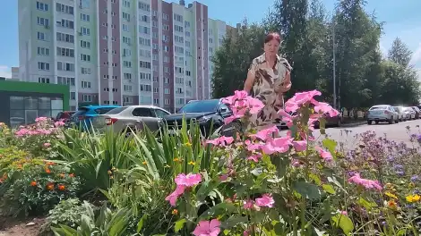 цветущий двор