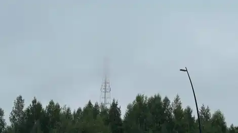 туман