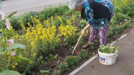женщина сажает цветы