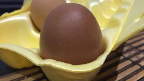 Куриное яйцо в упаковке
