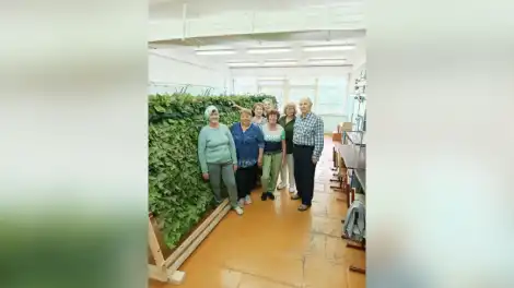 маскировочные сети масксети акция плетение волонтеры