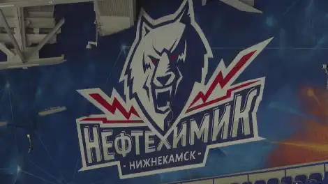 хоккейный клуб нефтехимик эмблема волк