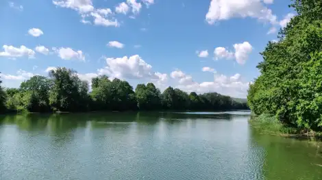 лето. жара, водоем