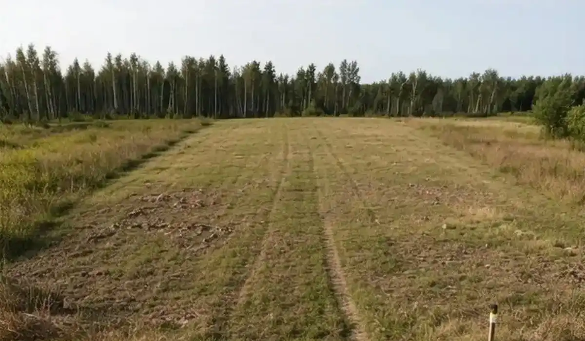 земельный участок рядом с лесом