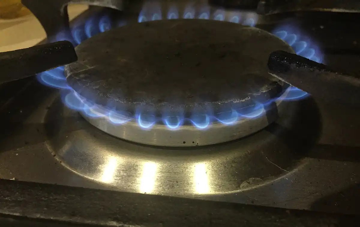 Конфорка газовой плиты