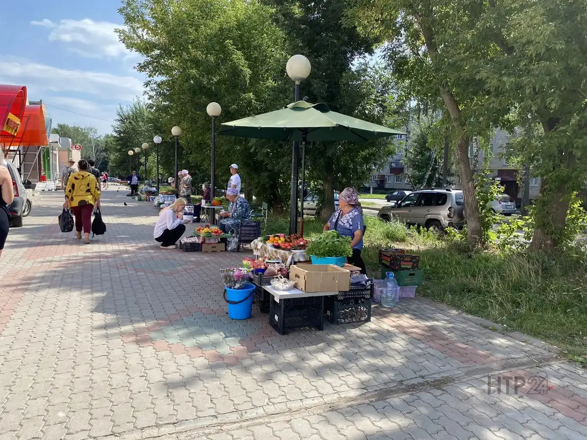 Дачники в Нижнекамске продают урожай