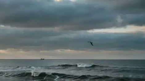 Непогода в море