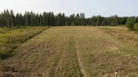 земельный участок рядом с лесом