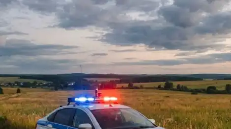 машина полиции с мигалкой в поле