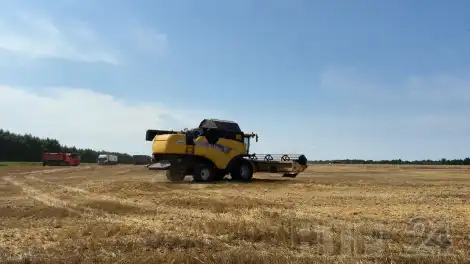 уборочный комбайн на поле озимой пшеницы