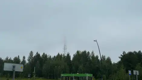 утренний туман