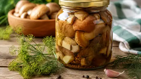 Маринованные маслята с укропом на столе в банке