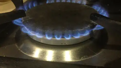 Конфорка газовой плиты