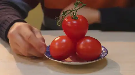 Три томата из теплицы на тарелка