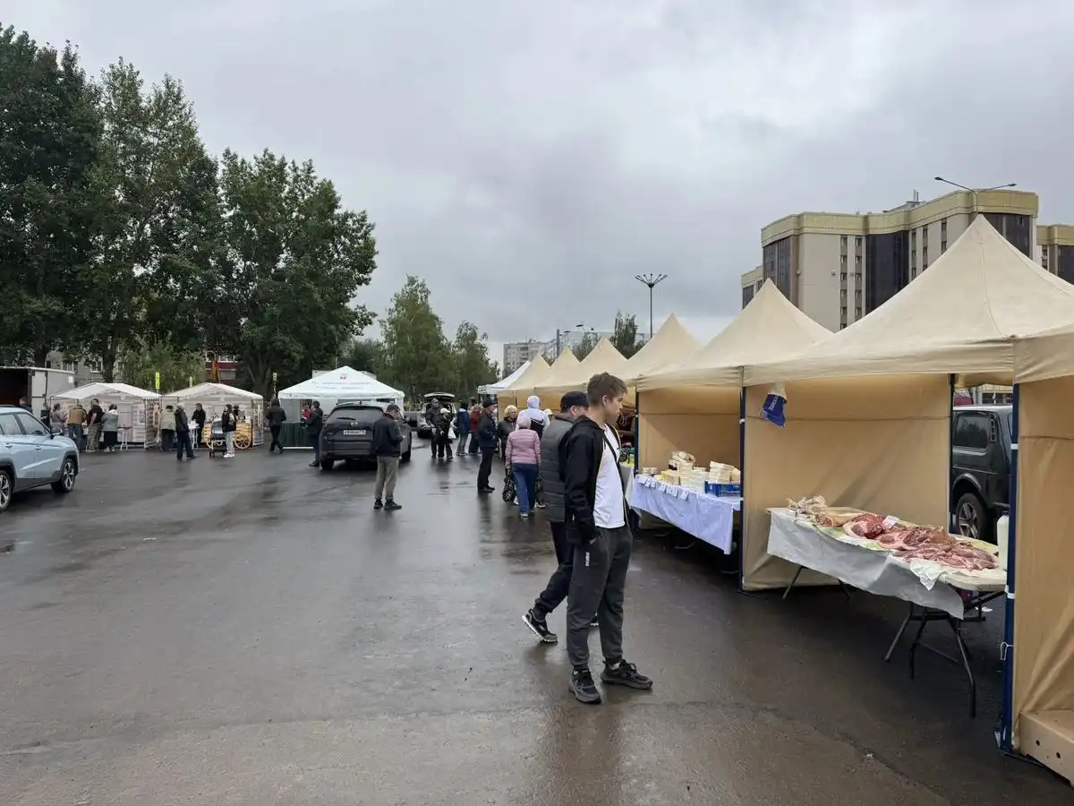 сельхозярмарка около Сити центра в Нижнекамске
