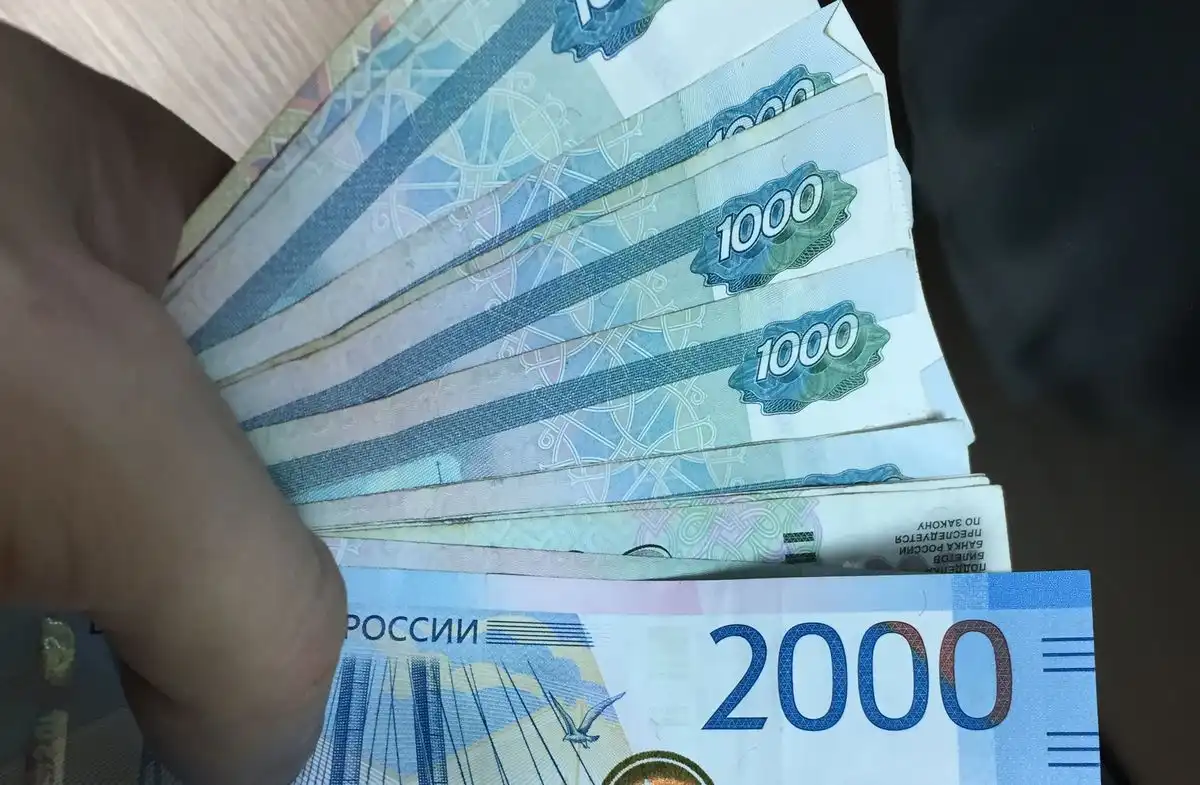 купюры в руках