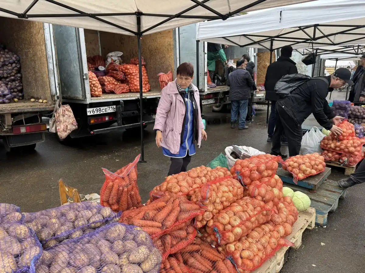 продают овощи на сельхозярмарке