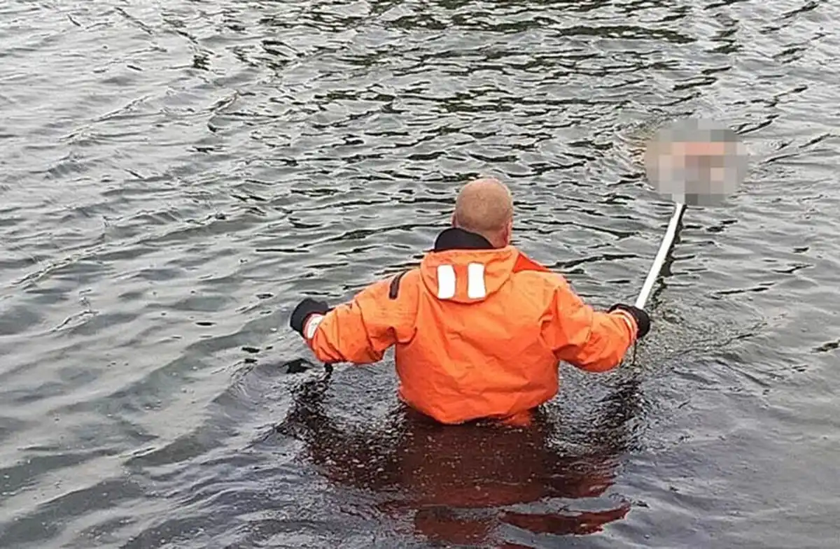 спасатель в воде ищет утонувшего