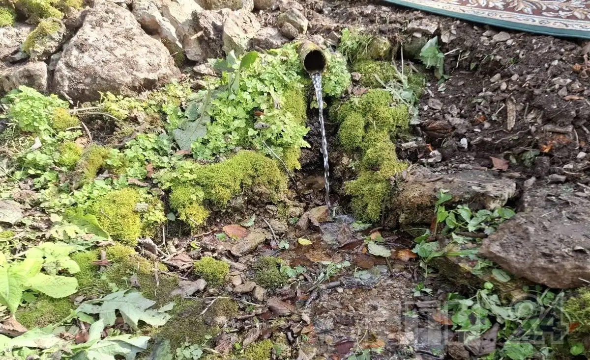 родник в селе Самоновка